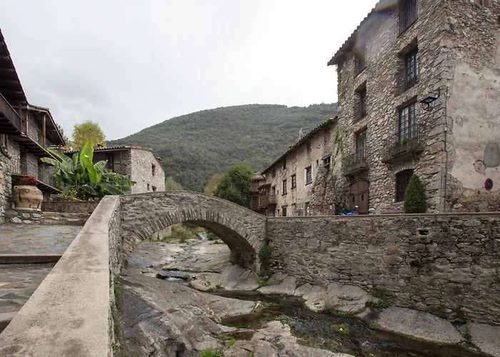 Criach * Beget