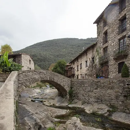 Criach * Beget