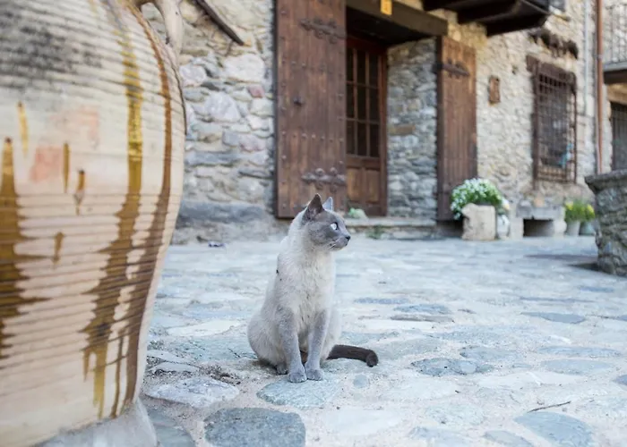 Criach بيت للعطل بييت